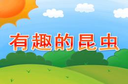 幼兒園有趣的昆蟲PPT課件