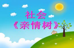 小班社會親情樹PPT課件