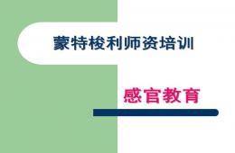 幼兒園蒙特梭利感官培訓PPT課件