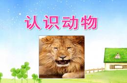 小班社會認識小動物PPT課件