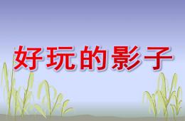 中班科學好玩的影子PPT課件