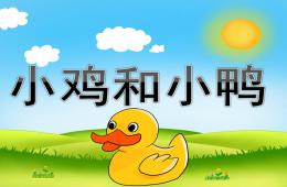 小班科學(xué)優(yōu)質(zhì)課小雞和小鴨PPT課件