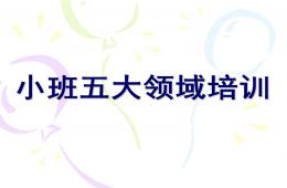 幼兒園小班五大領域培訓PPT課件
