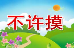 中班健康活動不許摸PPT課件