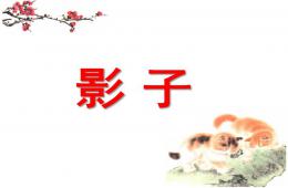 大班探索影子PPT課件
