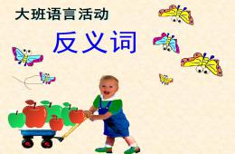 大班語言活動反義詞PPT課件