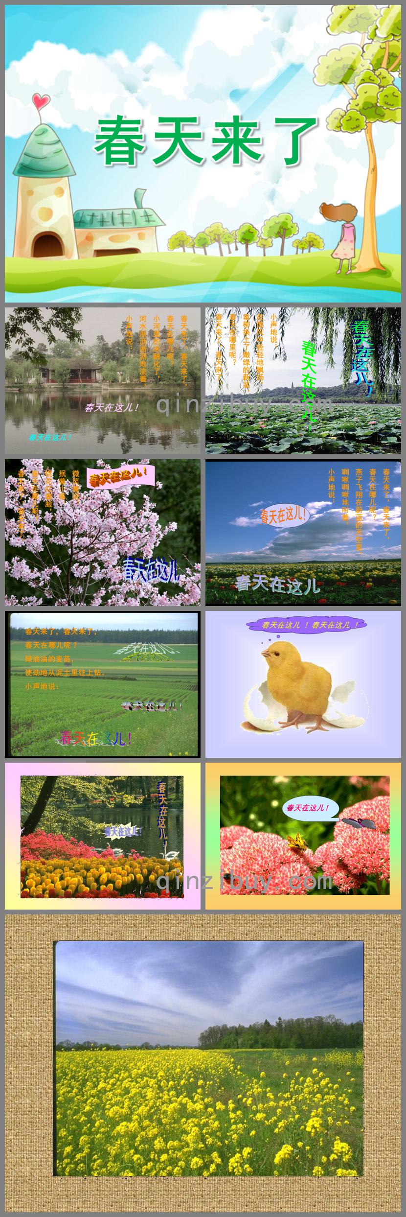 中班語言春天來了PPT課件