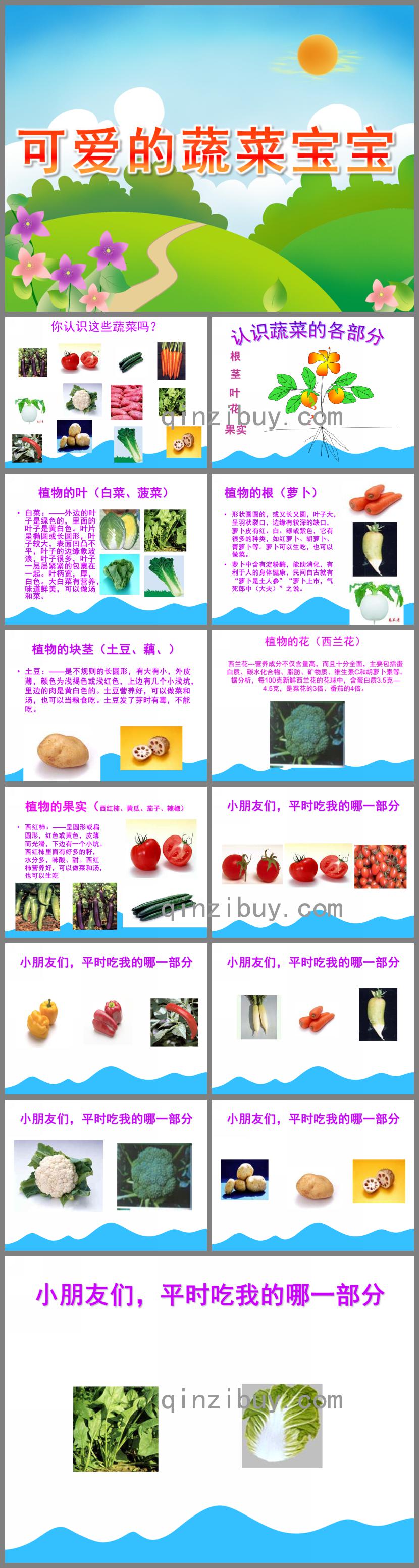 小班健康可愛的蔬菜寶寶PPT課件