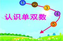 大班數學10以內單雙數PPT課件