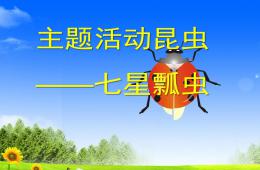 大班科學主題活動七星瓢蟲PPT課件