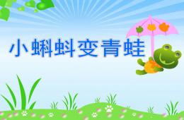 中班科學小蝌蚪變青蛙PPT課件