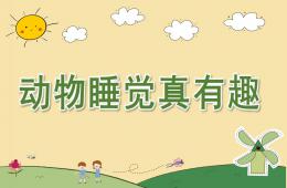 中班科學動物睡覺真有趣PPT課件