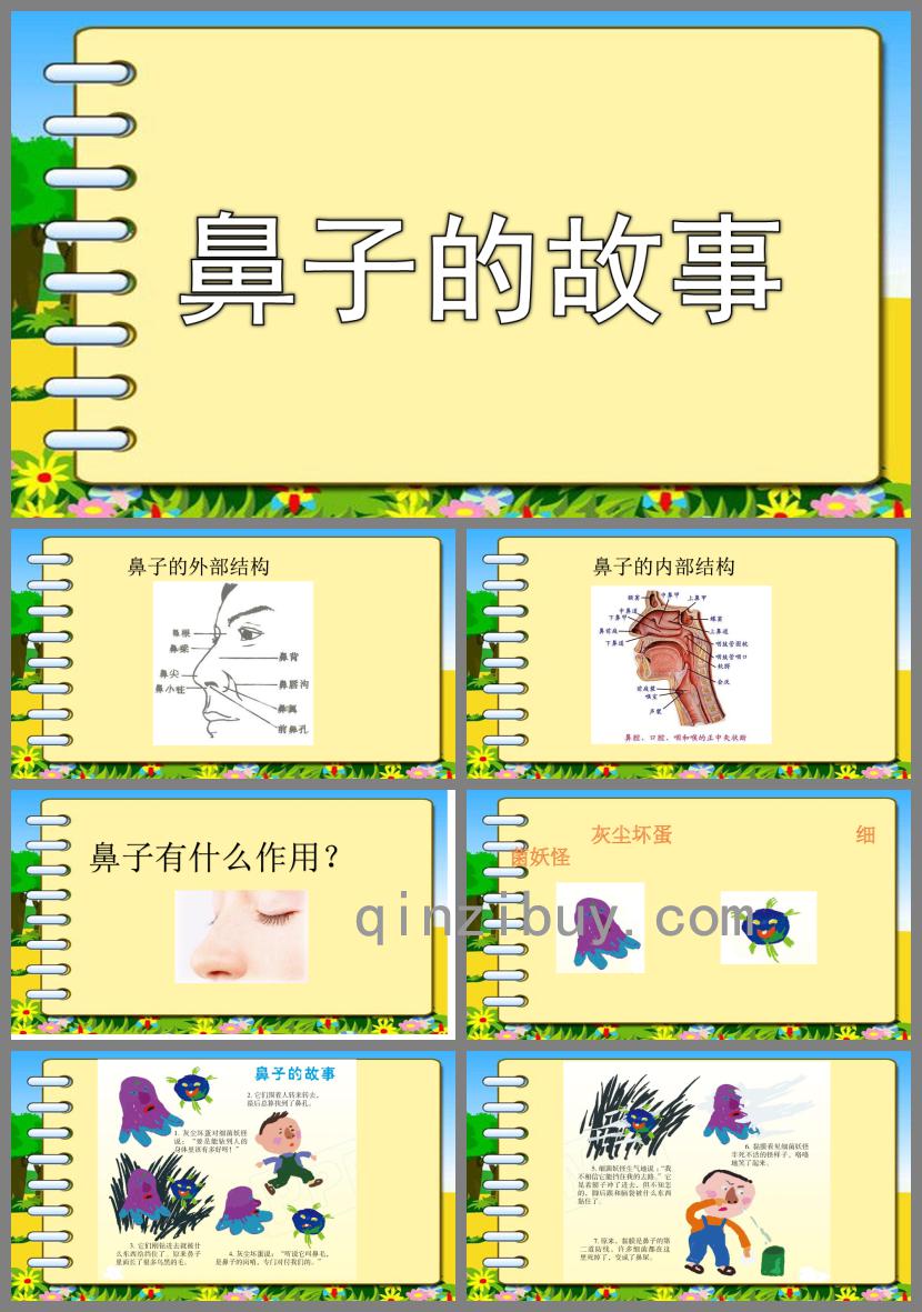 大班健康活動(dòng)鼻子的故事PPT課件