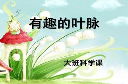 大班科學(xué)有趣的葉脈PPT課件