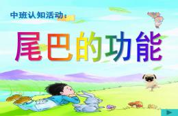 中班科學(動物的尾巴) 尾巴的功能PPT課件