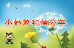 幼兒園看圖講述小螞蟻和蒲公英PPT課件