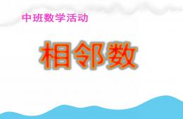 中班數學活動相鄰數PPT課件
