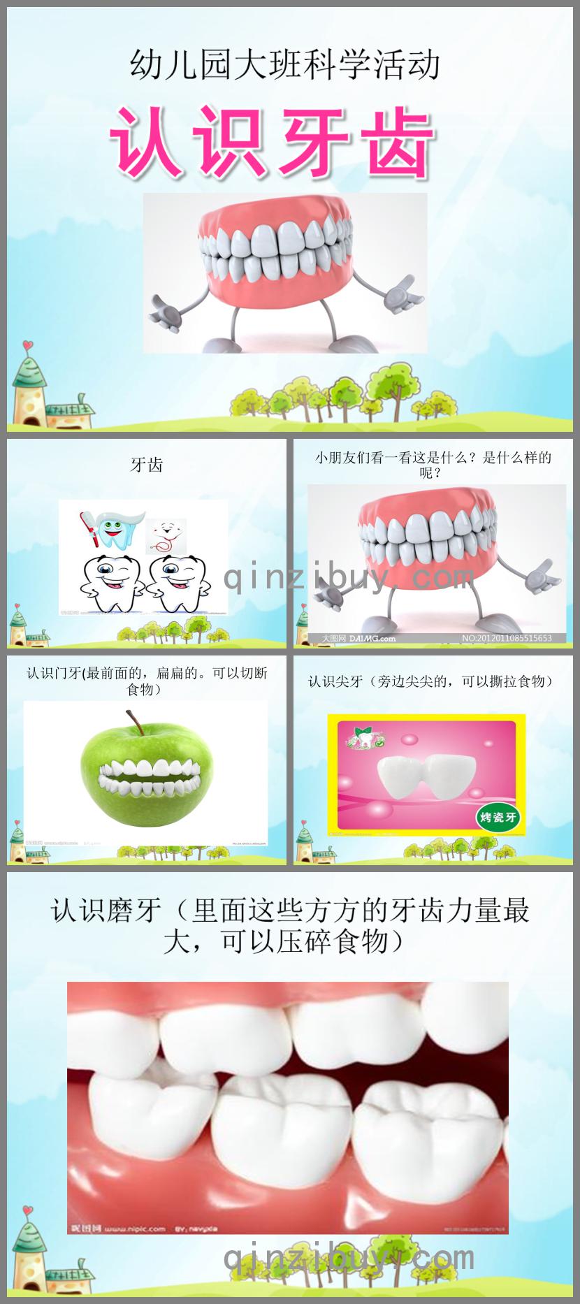 大班科學(xué)活動認識牙齒PPT課件