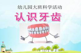 大班科學活動認識牙齒PPT課件