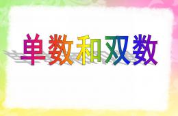 幼兒園單數雙數PPT課件