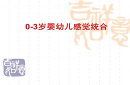 幼兒0-3歲感覺統(tǒng)合師資培訓(xùn)PPT課件
