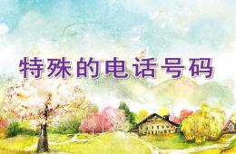 幼兒園安全活動特殊的電話號碼PPT課件