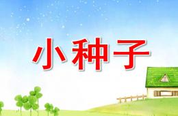 小班語言兒歌小種子PPT課件音樂