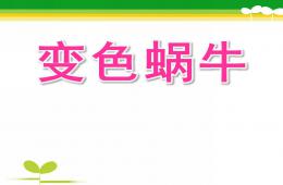 小班語言活動變色蝸牛PPT課件