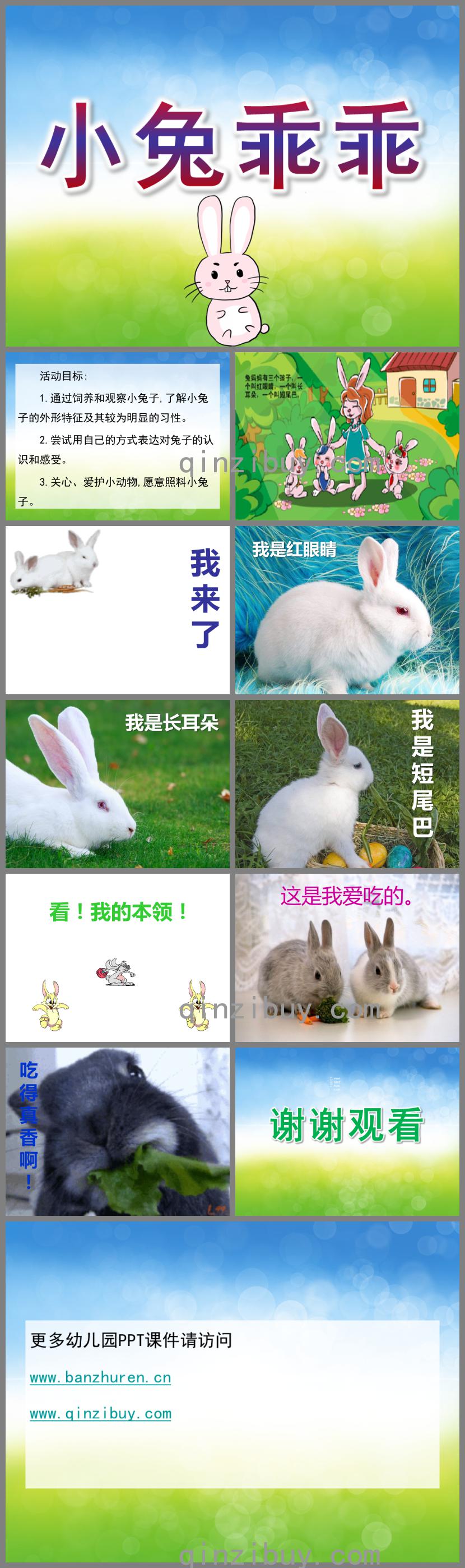 小班科學小兔乖乖PPT課件