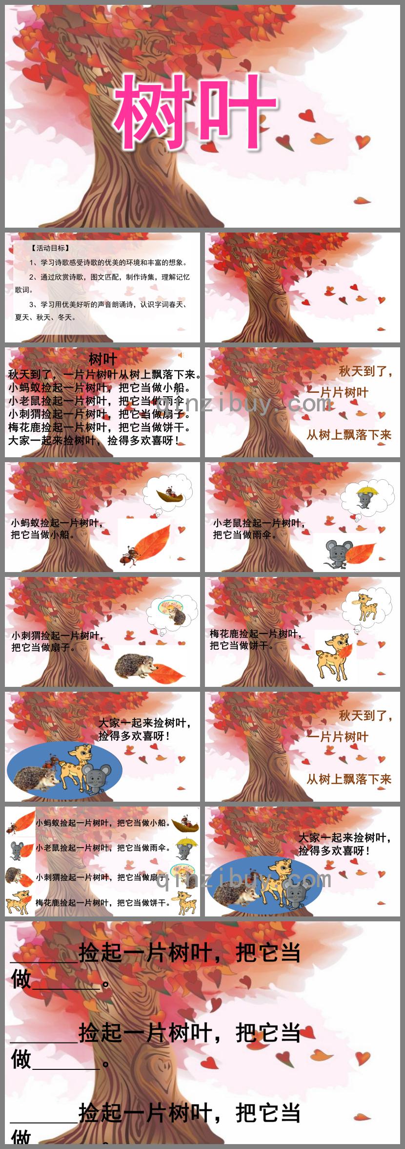 中班語言樹葉PPT課件