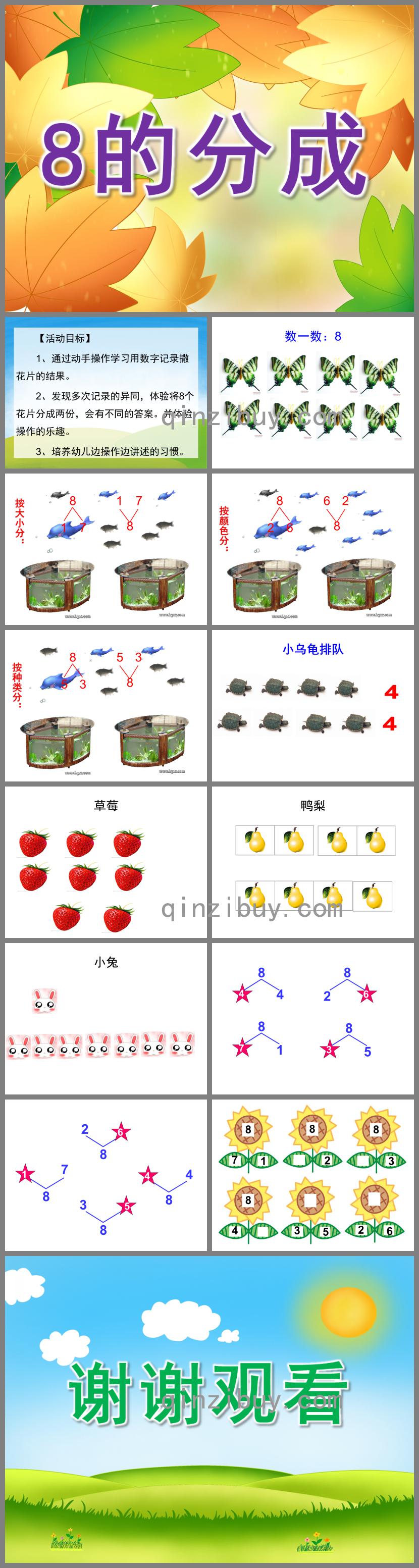大班數學8的分成PPT課件