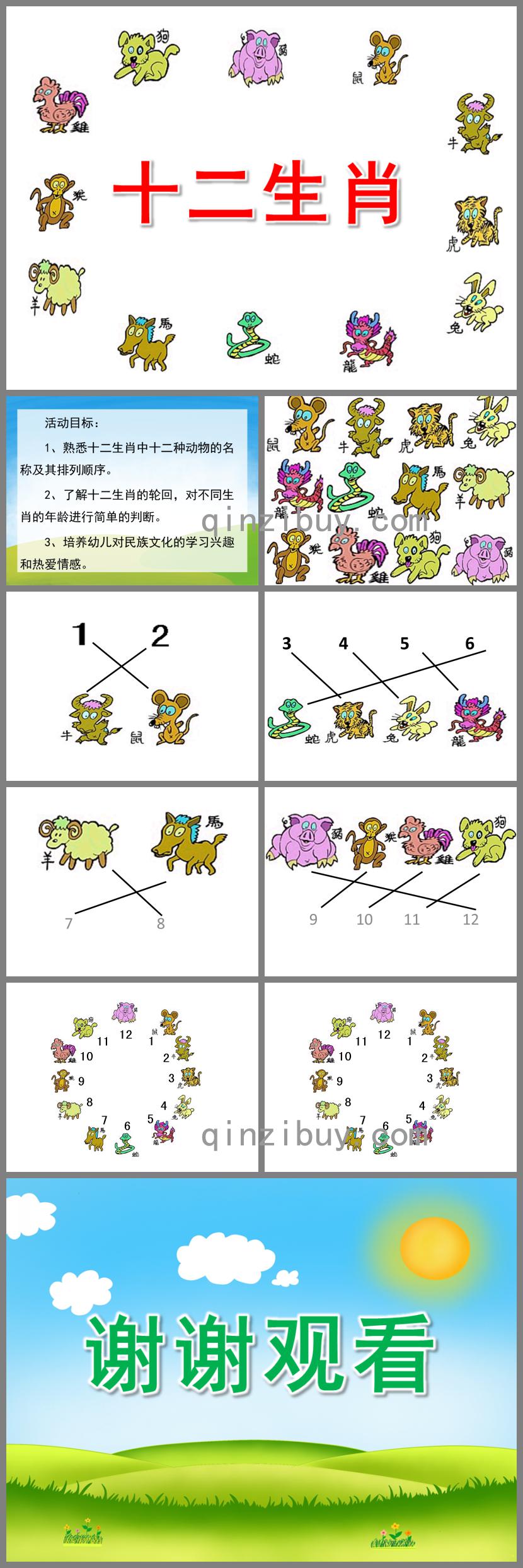 大班社會活動十二生肖PPT課件