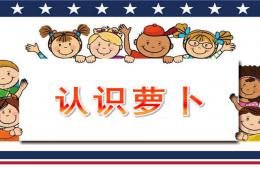 小班科學觀察活動認識蘿卜PPT課件