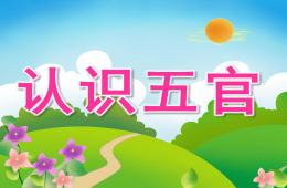 幼兒園說課認識五官PPT課件