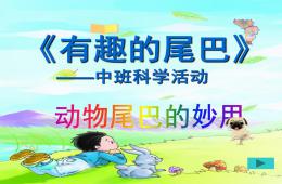中班科學有趣的尾巴動物尾巴的妙用PPT課件