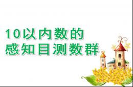 大班數(shù)學10以內(nèi)數(shù)的感知目測數(shù)群PPT課件