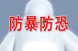 大班安全教育防暴防恐PPT課件