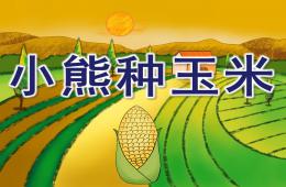 大班數學小熊種玉米PPT課件