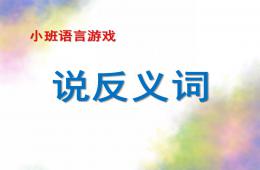 小班語言活動說反義詞PPT課件