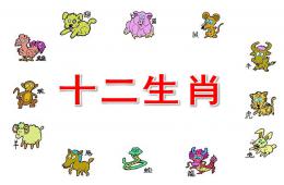 大班社會活動十二生肖PPT課件