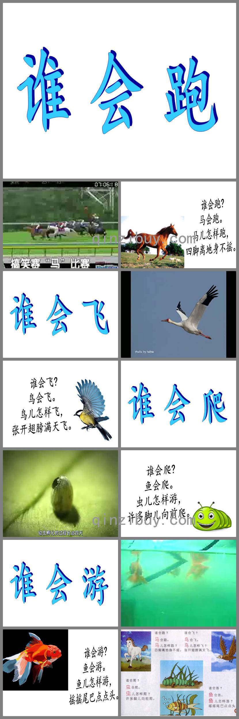 小班蒙氏閱讀誰會跑PPT課件