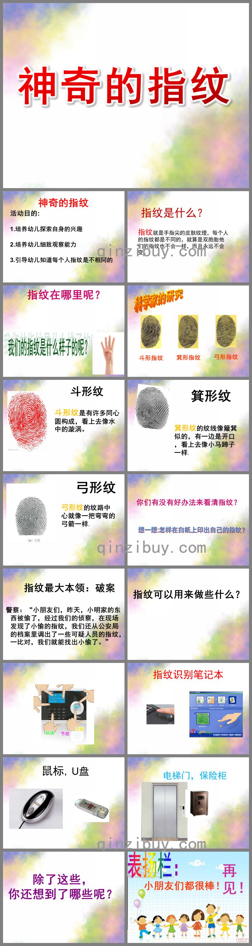 大班科學神奇的指紋PPT課件