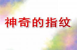大班科學神奇的指紋PPT課件