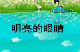 大班美術(shù)明亮的眼睛PPT課件
