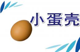 中班語言小蛋殼PPT課件