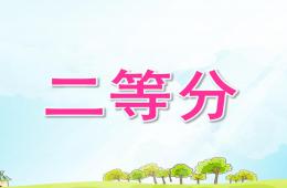 大班數學活動二等分PPT課件