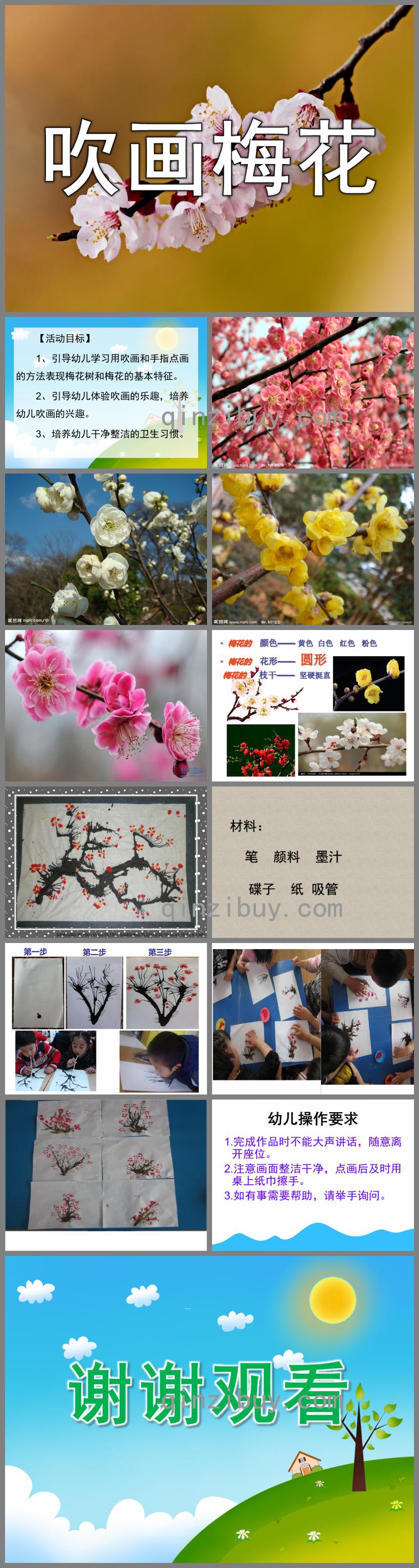 大班美術(shù)吹畫梅花PPT課件