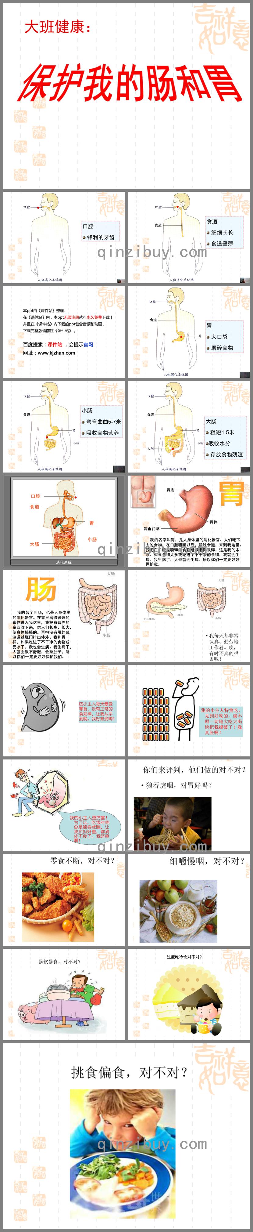 大班健康保護我的腸胃PPT課件