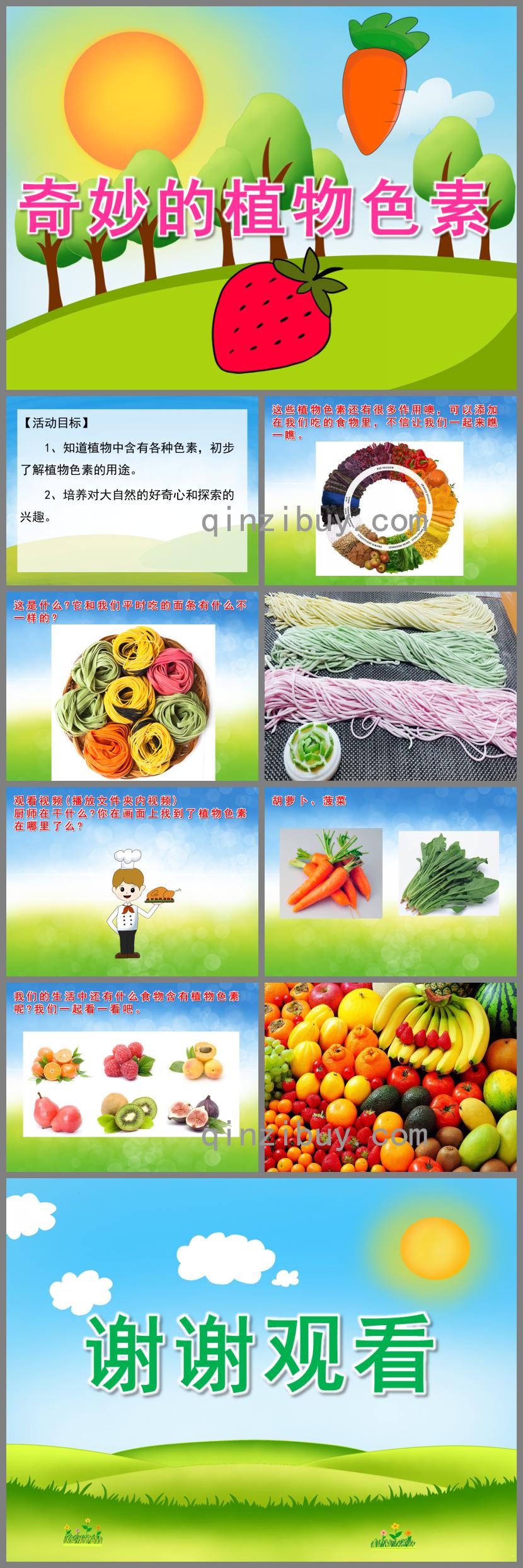中班科學奇妙的植物色素PPT課件視頻