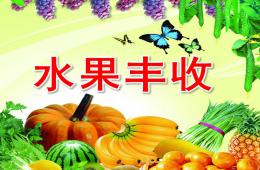 中班數(shù)學(xué)水果豐收PPT課件